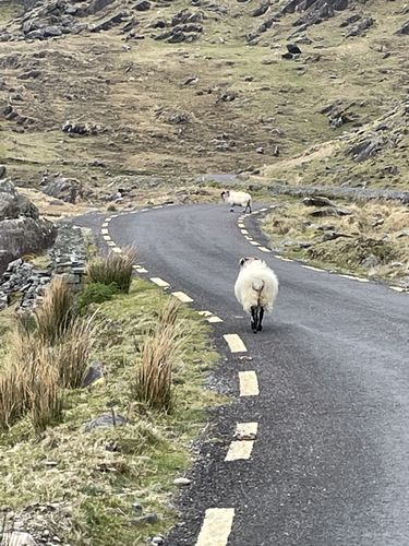 Customer photo review of Portable WiFi