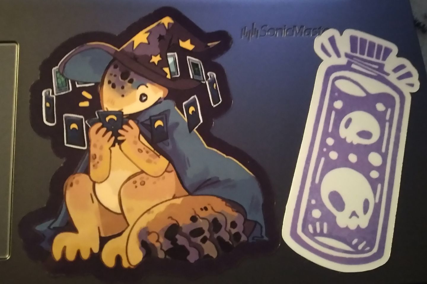 Customer photo review of Lizard Wizard Stickers!