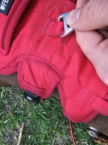 Customer photo review of Ragnar Dog Harness