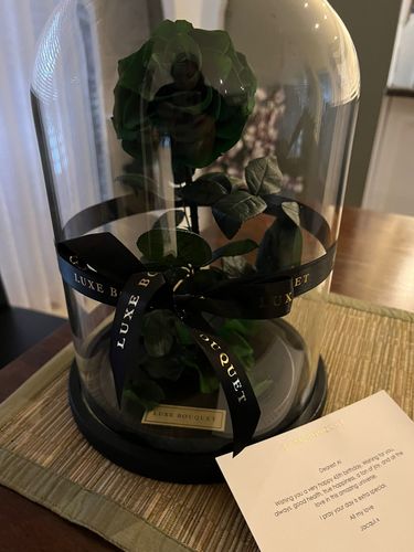 Customer photo review of The Everlasting Rose - Green