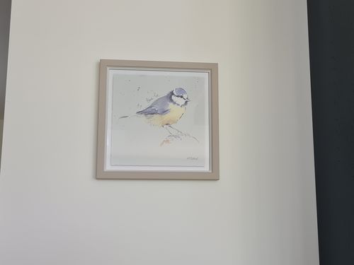 Customer photo review of Coal Tit By Adelene Fletcher