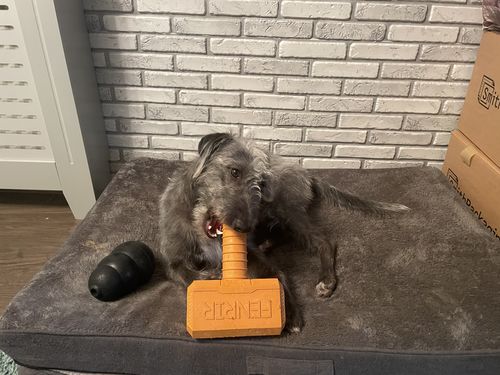 Customer photo review of The Fenrir Hammer