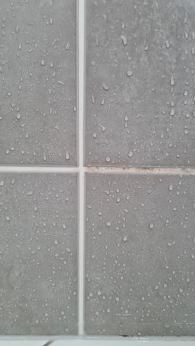 Customer photo review of GLASSGUARD™ Mold Remover & Protect Kit