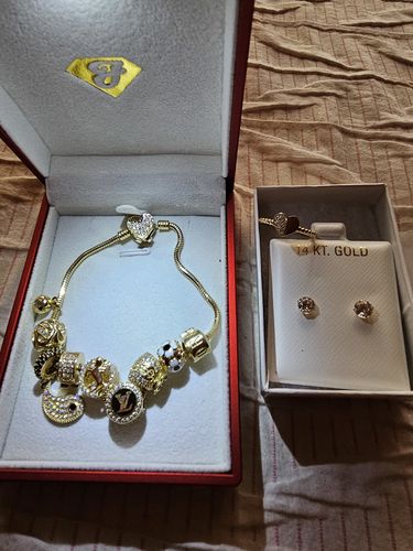 Customer photo review of *NEW* 14K 🐎🌼💰 Charms Bracelet  JTJ™