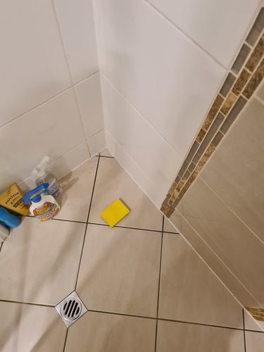 Customer photo review of GLASSGUARD™ Mold Remover & Protect Kit