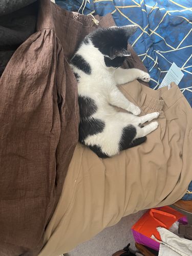 Customer photo review of Khaki A line Swing Linen Maxi Skirt with Pockets  278001#