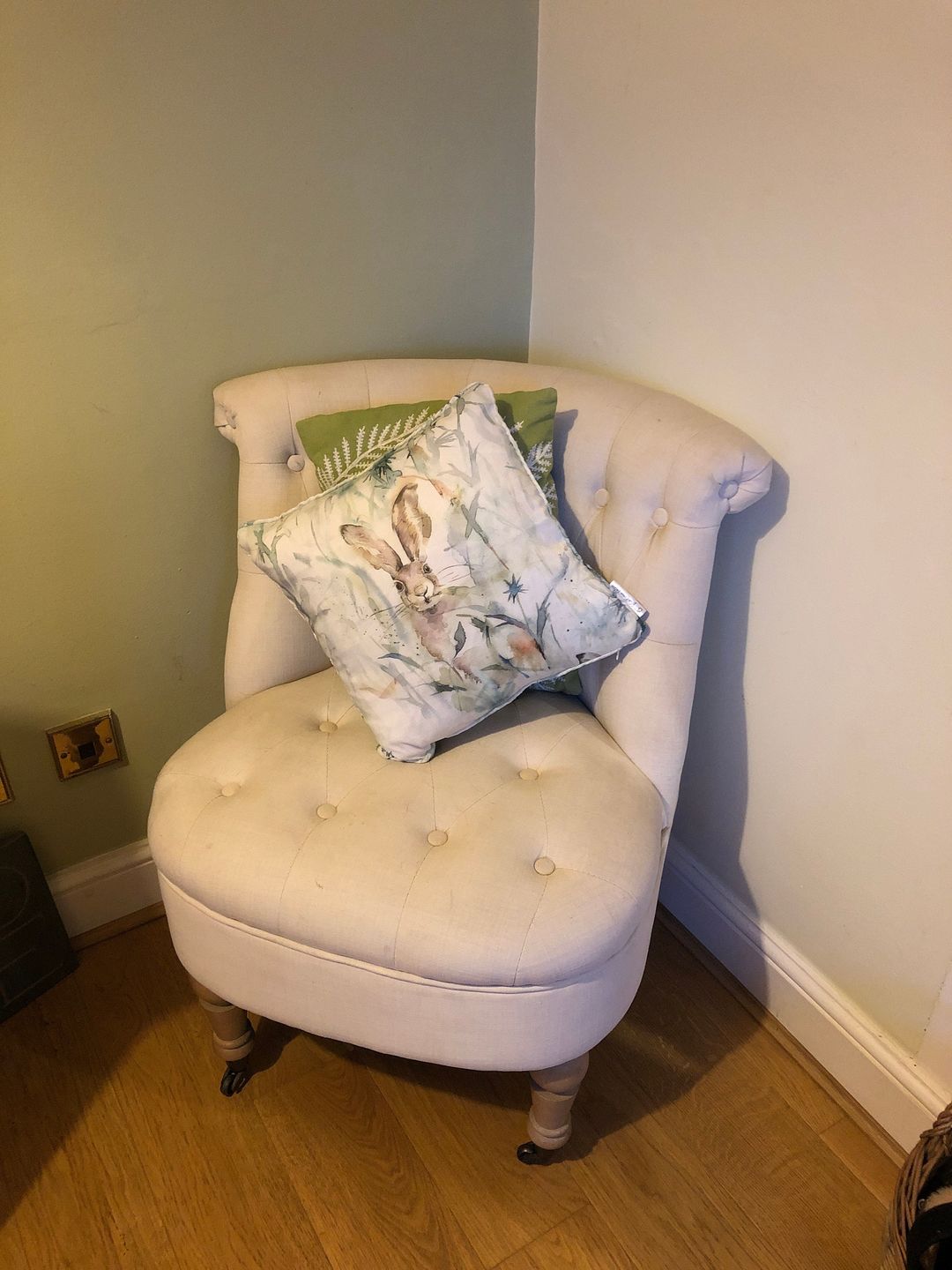 Customer photo review of Jack Rabbit Voyage Maison Cushion Cover