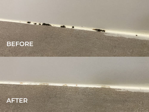 Customer photo review of GLASSGUARD™ Mold Remover & Protect Kit