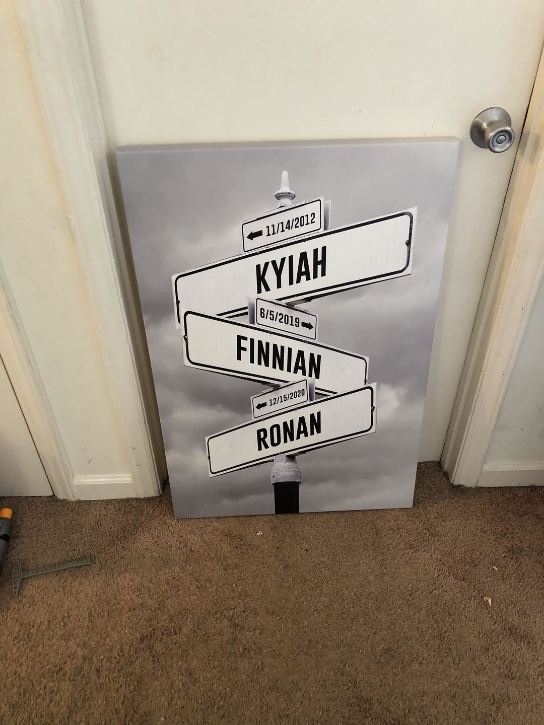 Customer photo review of Custom Kid Birth Date + Name Personalized Street Sign Canvas Wall Art