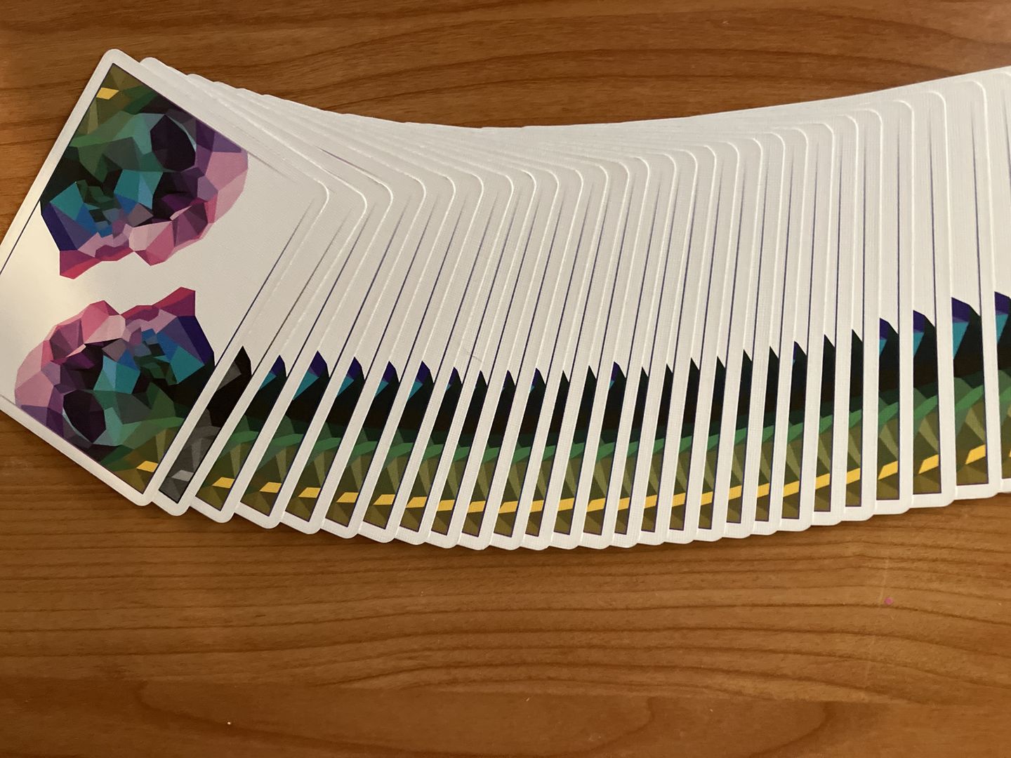 Customer photo review of Memento Mori Playing Cards