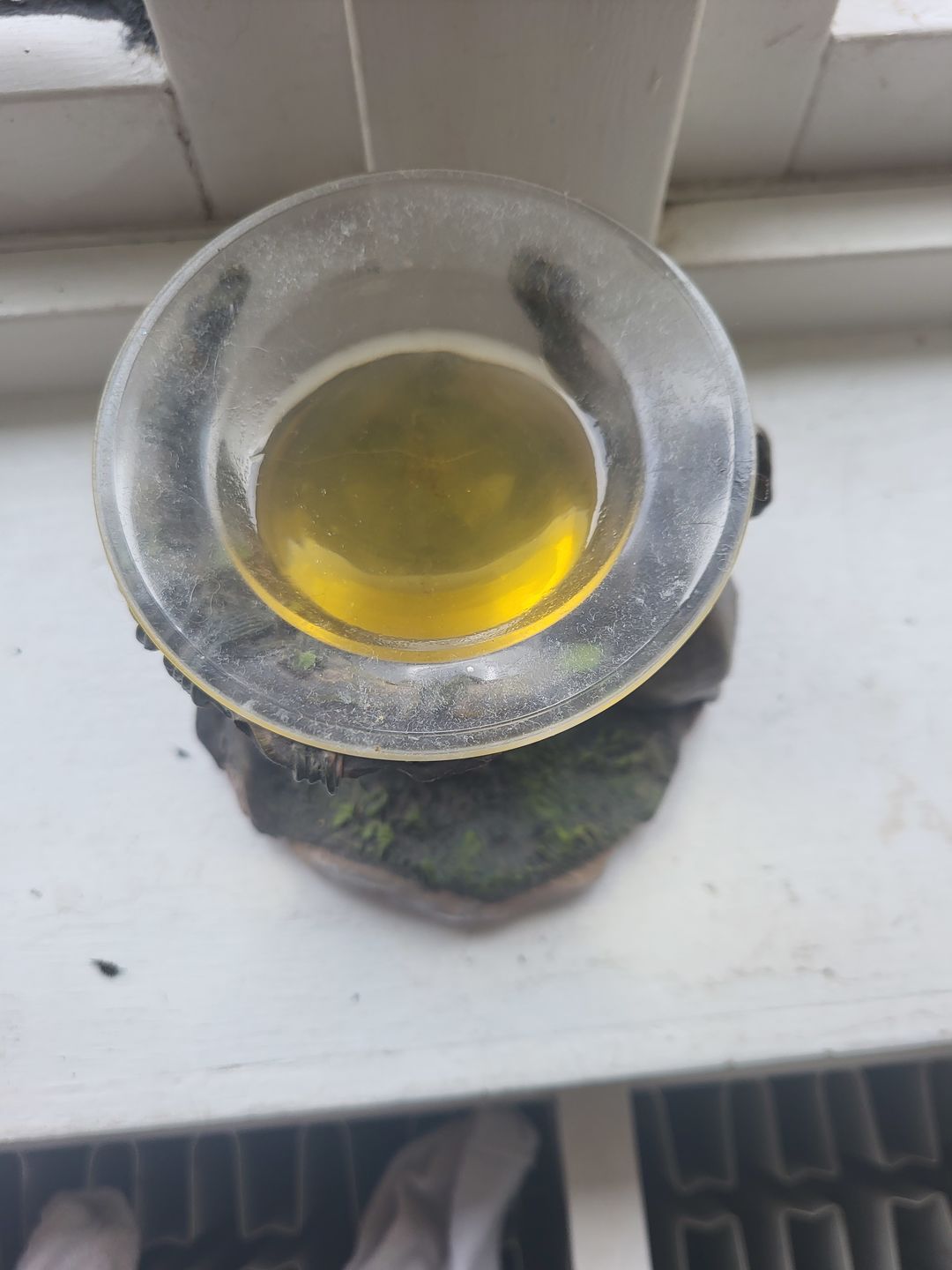 Customer photo review of Clean Cotton Gel Melt