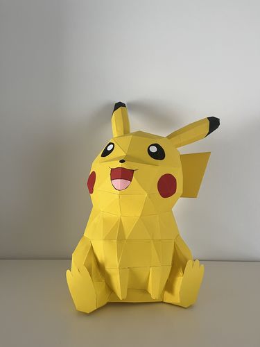 Customer photo review of Patrons Pikachu (pdf)
