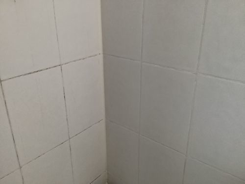 Customer photo review of GLASSGUARD™ Mold Remover & Protect Kit