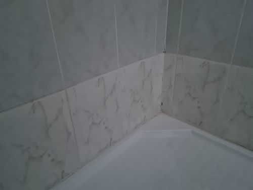 Customer photo review of GLASSGUARD™ Mold Remover & Protect Kit
