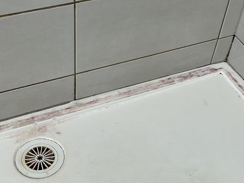 Customer photo review of GLASSGUARD™ Mold Remover & Protect Kit