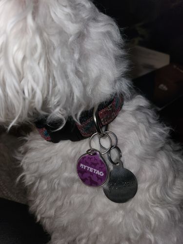 Customer photo review of Woof Pack