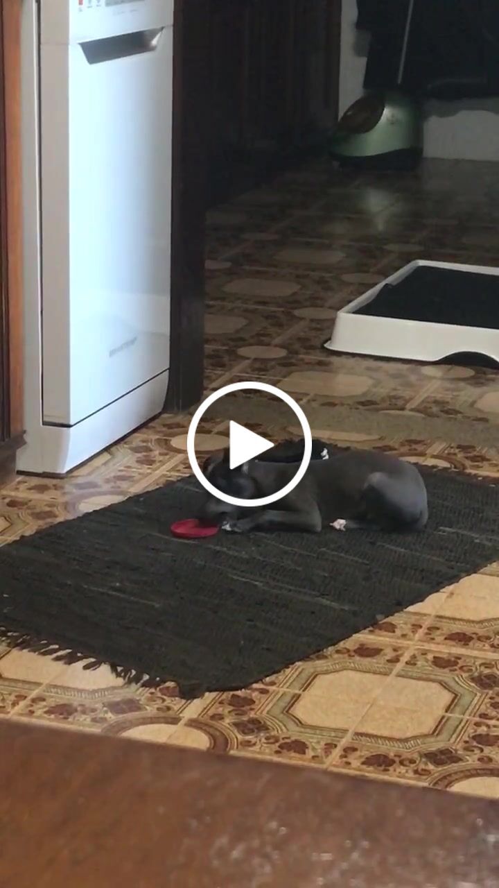 Customer video review of Weasy Neutralize