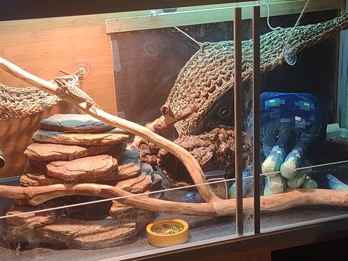 Customer photo review of Original Zen Mat - for 4'x2' based Original enclosures