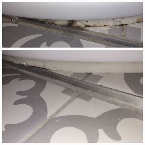 Customer photo review of GLASSGUARD™ Mold Remover & Protect Kit
