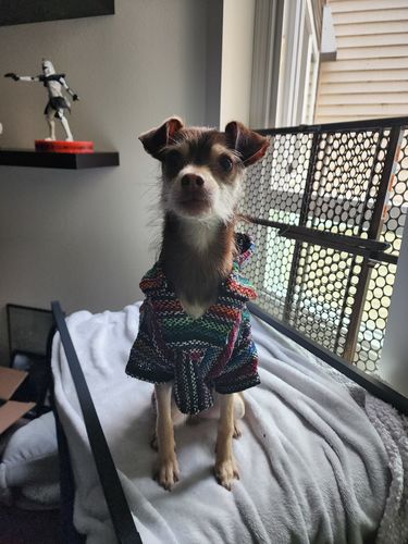 Customer photo review of Playa Poncho - Surprise Color