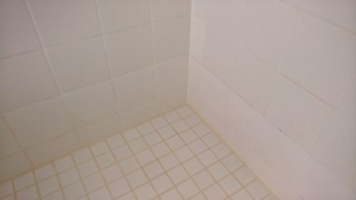 Customer photo review of GLASSGUARD™ Mold Remover & Protect Kit