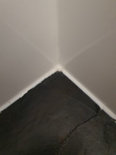 Customer photo review of GLASSGUARD™ Mold Remover & Protect Kit