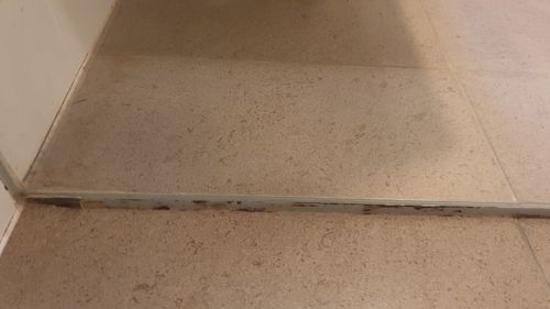 Customer photo review of GLASSGUARD™ Mold Remover & Protect Kit