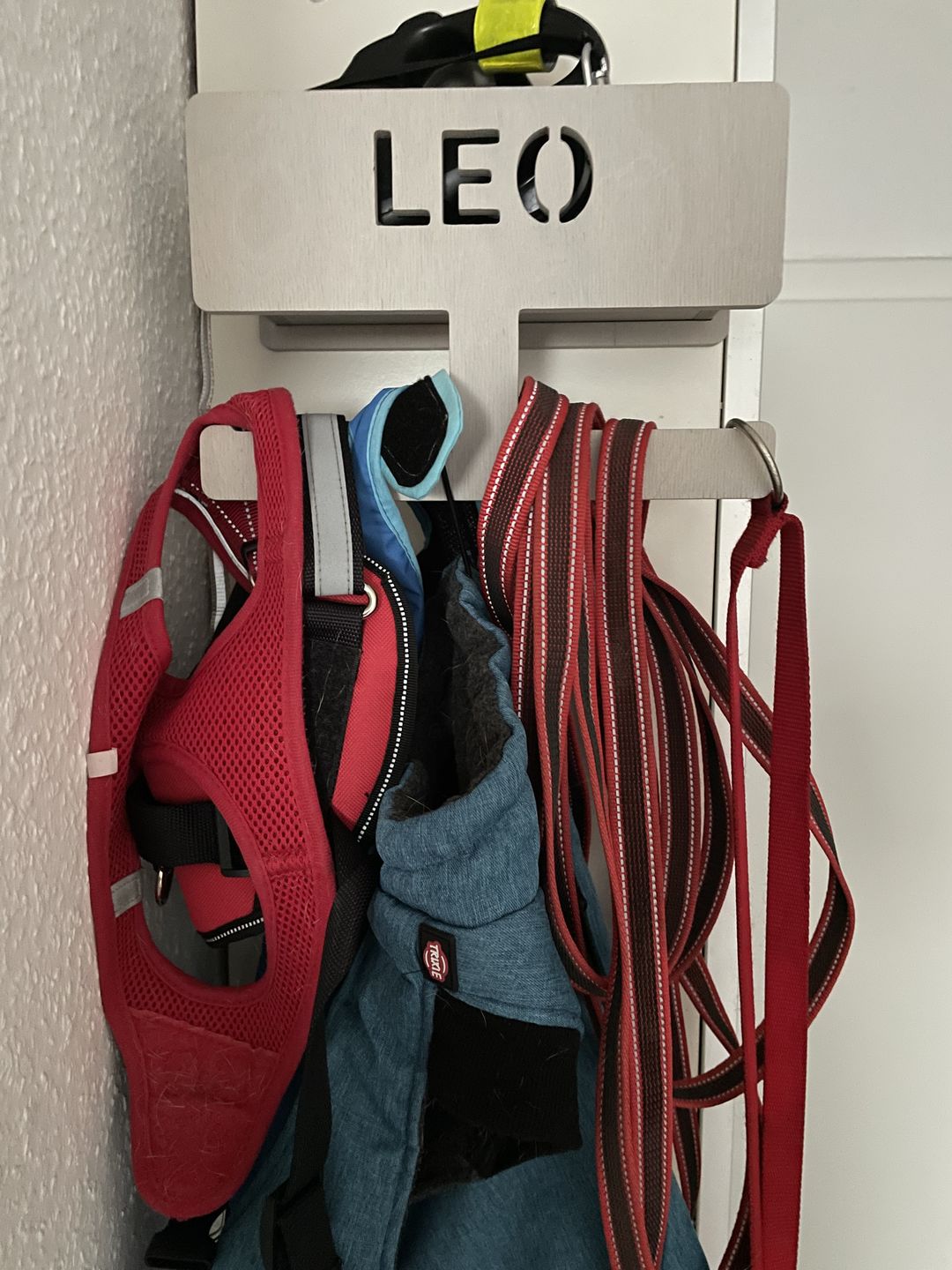 Customer photo review of PERSONALISIERUNG: Hundegarderobe L