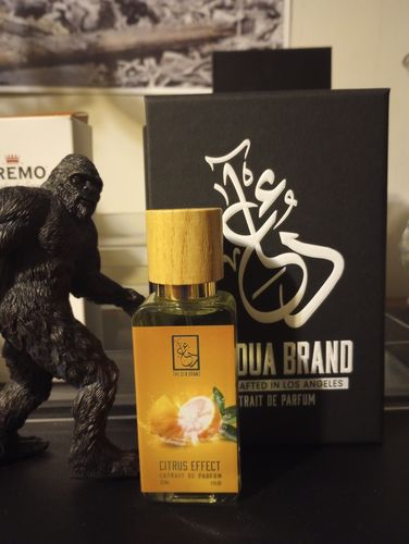 Customer photo review of Citrus Effect