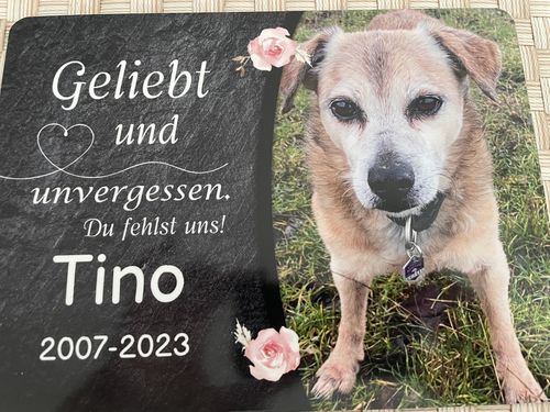 Customer photo review of Hunde Gedenktafel mit Foto & Spruch (UV- und wetterbeständig)
