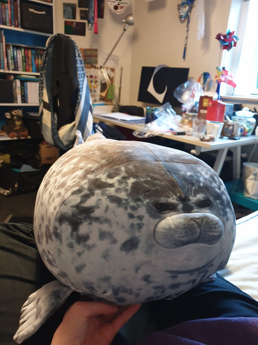 Customer photo review of Yuki-Chan Plushie "Japan's Roundest Seal" - XL (Extra Chonky)