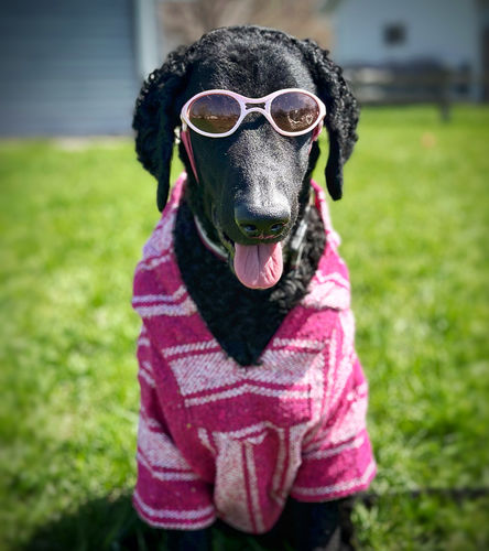 Customer photo review of Playa Poncho - Surprise Color