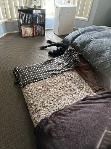 Customer photo review of PaWz  Multimat