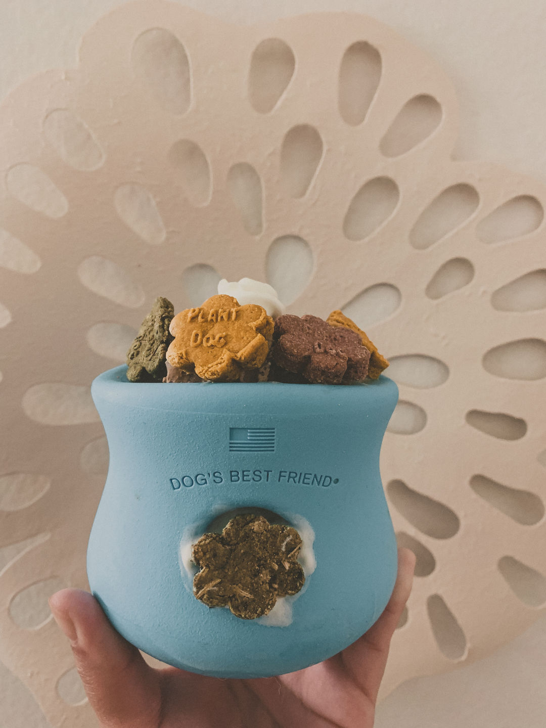 Customer photo review of Mini Biscuit Sample Pack