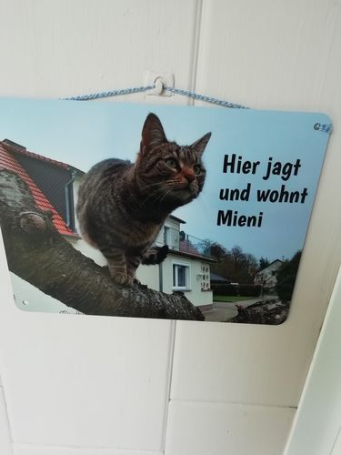 Customer photo review of Katzen-Türschild mit Foto & Wunschtext