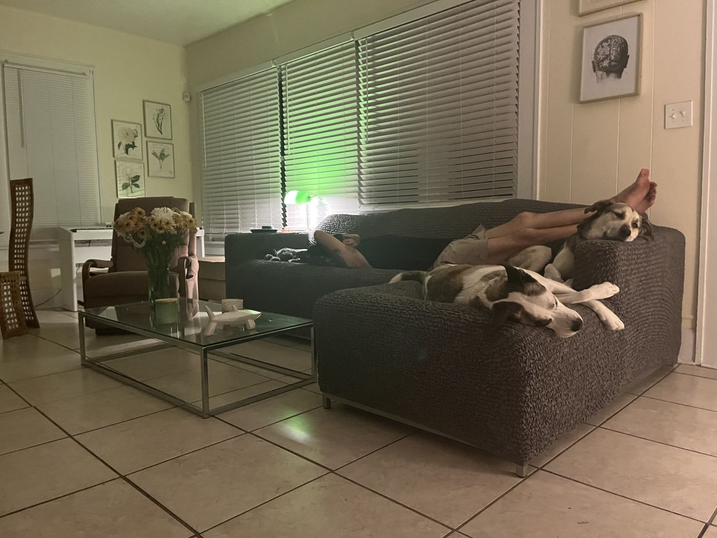 Customer photo review of Corner Sofa Slipcover, Comfort Collection