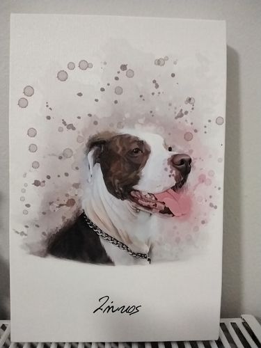 Customer photo review of Πορτραίτο Κατοικίδιου - Ακουαρέλα