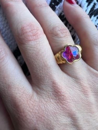 Customer photo review of Crystal Rose