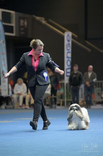 Customer photo review of I'm So Silky Shampoo