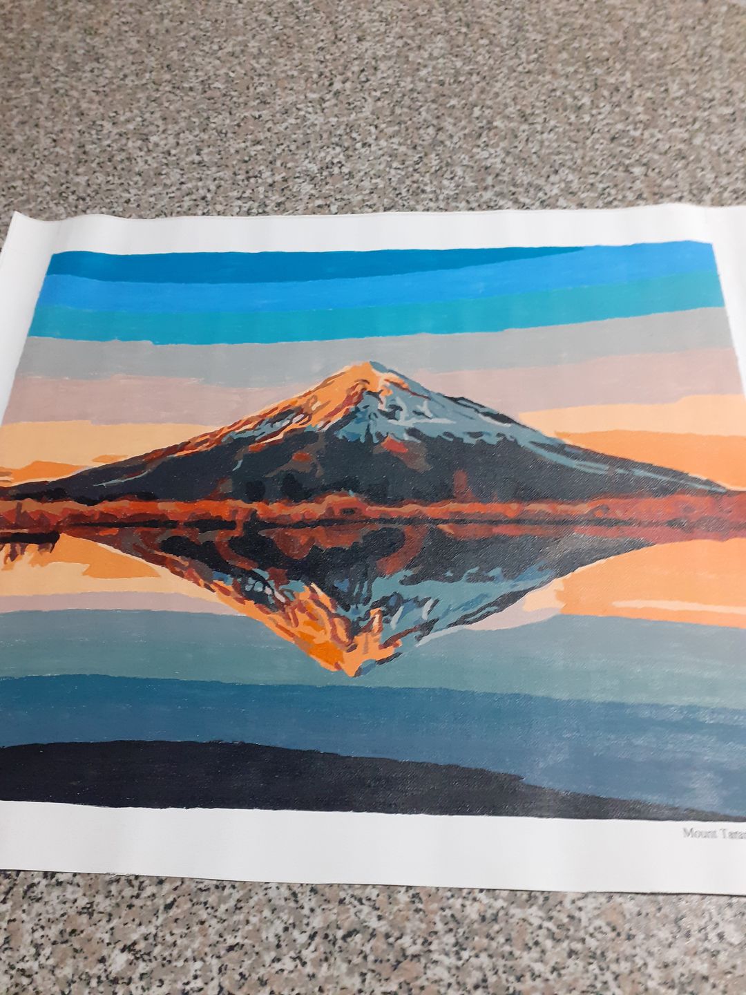 Customer photo review of Mount Taranaki