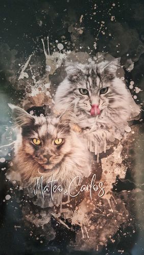 Customer photo review of Aquarell Pawtrait