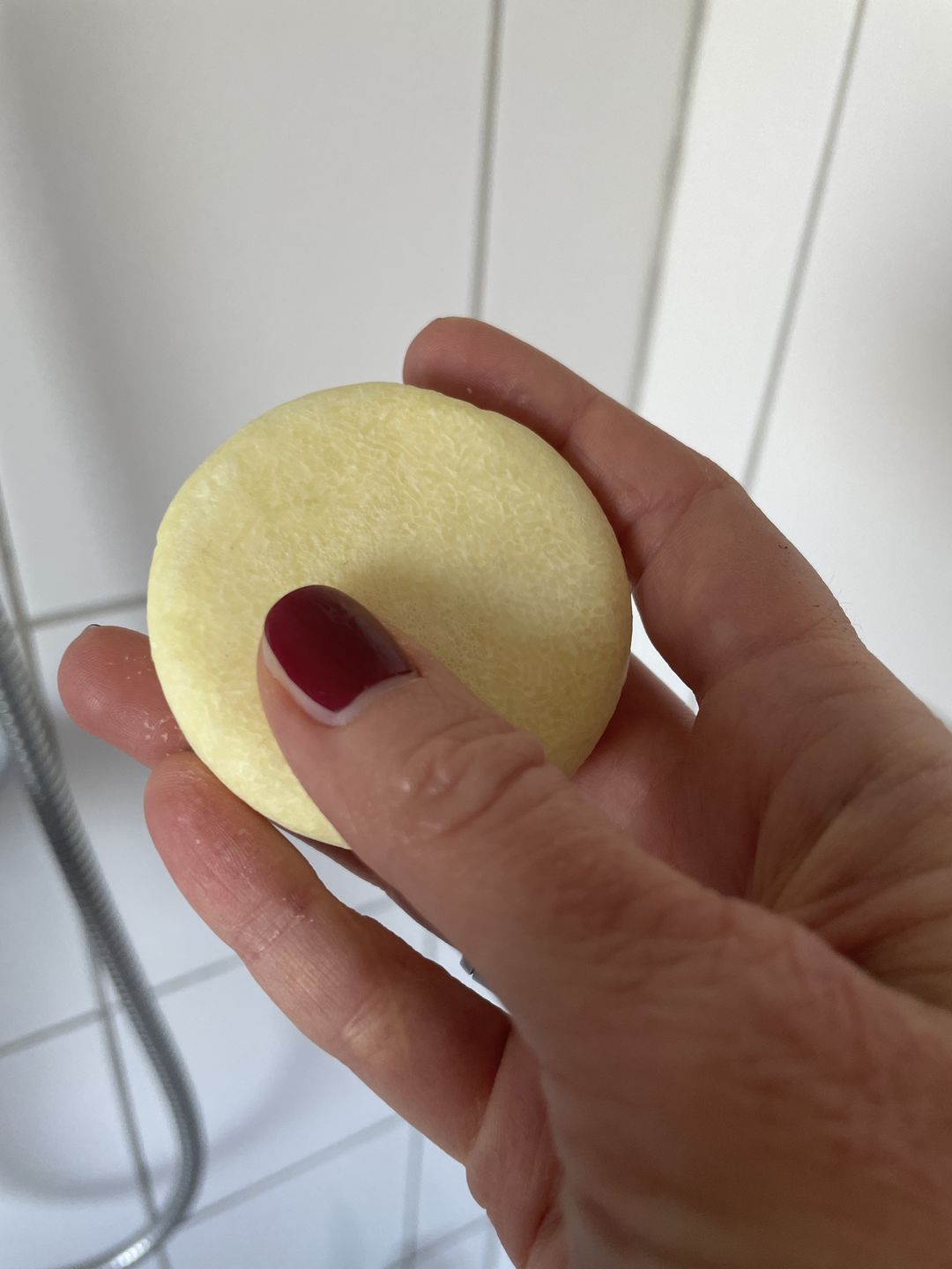 Customer photo review of Lemon & Mint 2.0