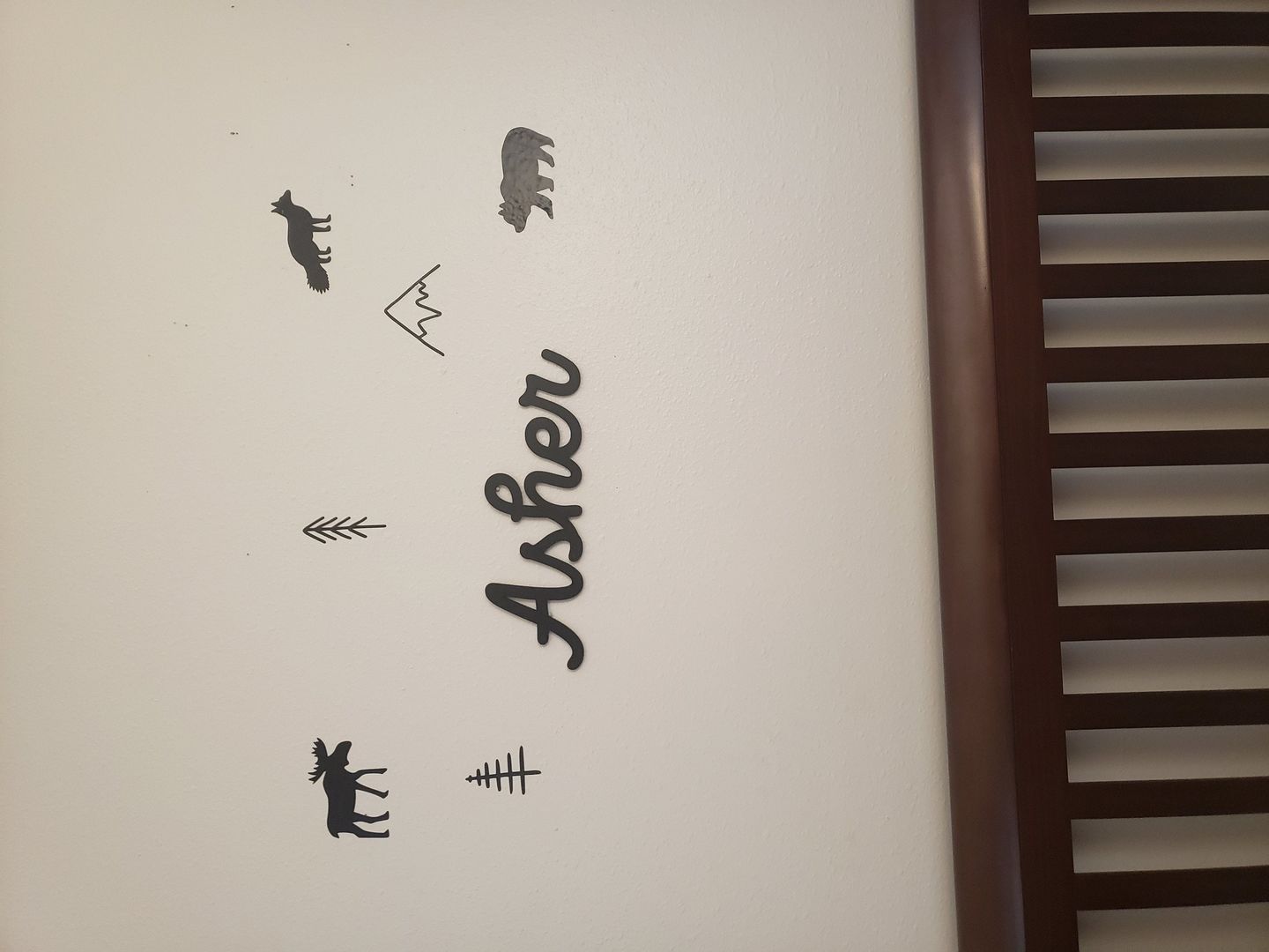 Customer photo review of Wilderness Wall Decals
