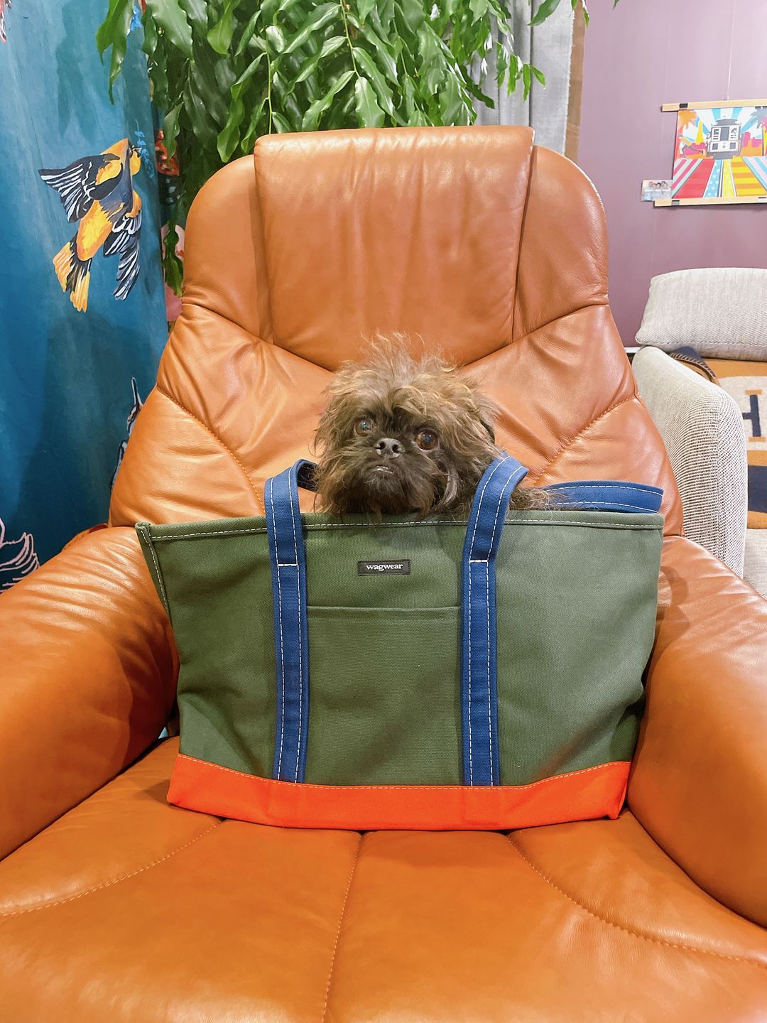 Customer photo review of Tri-Color Boat Canvas Carrier