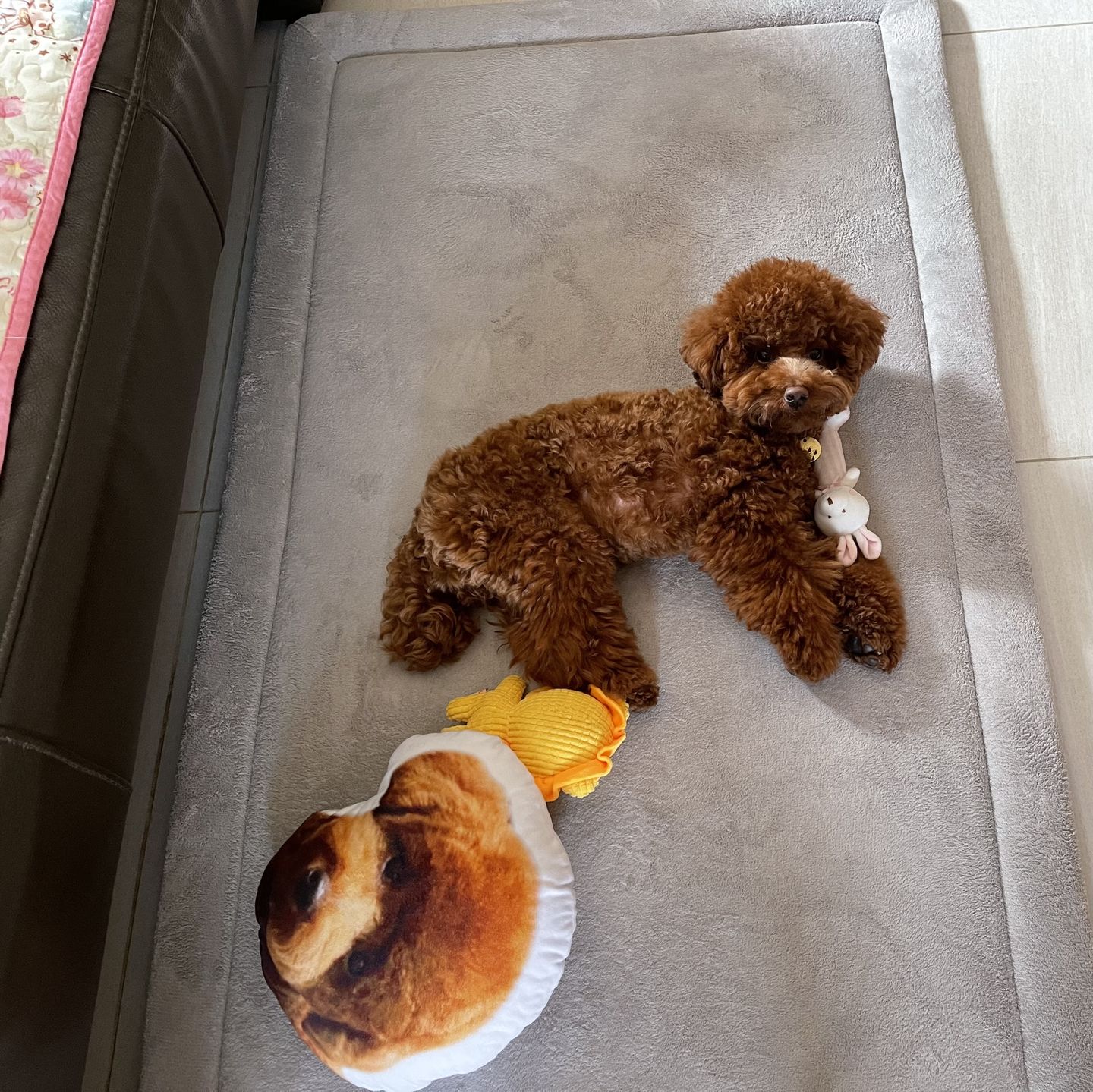 Customer photo review of Momomi® Mat (Grey)