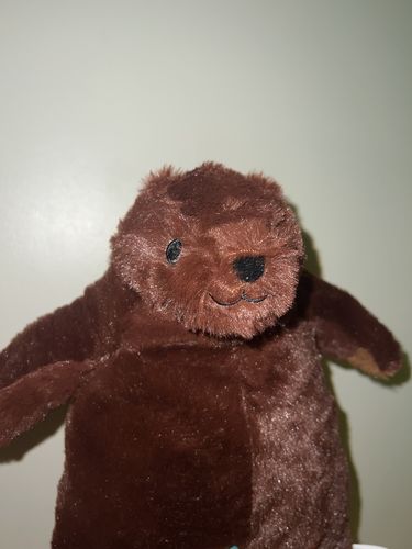 Customer photo review of SKOGGY BEAR