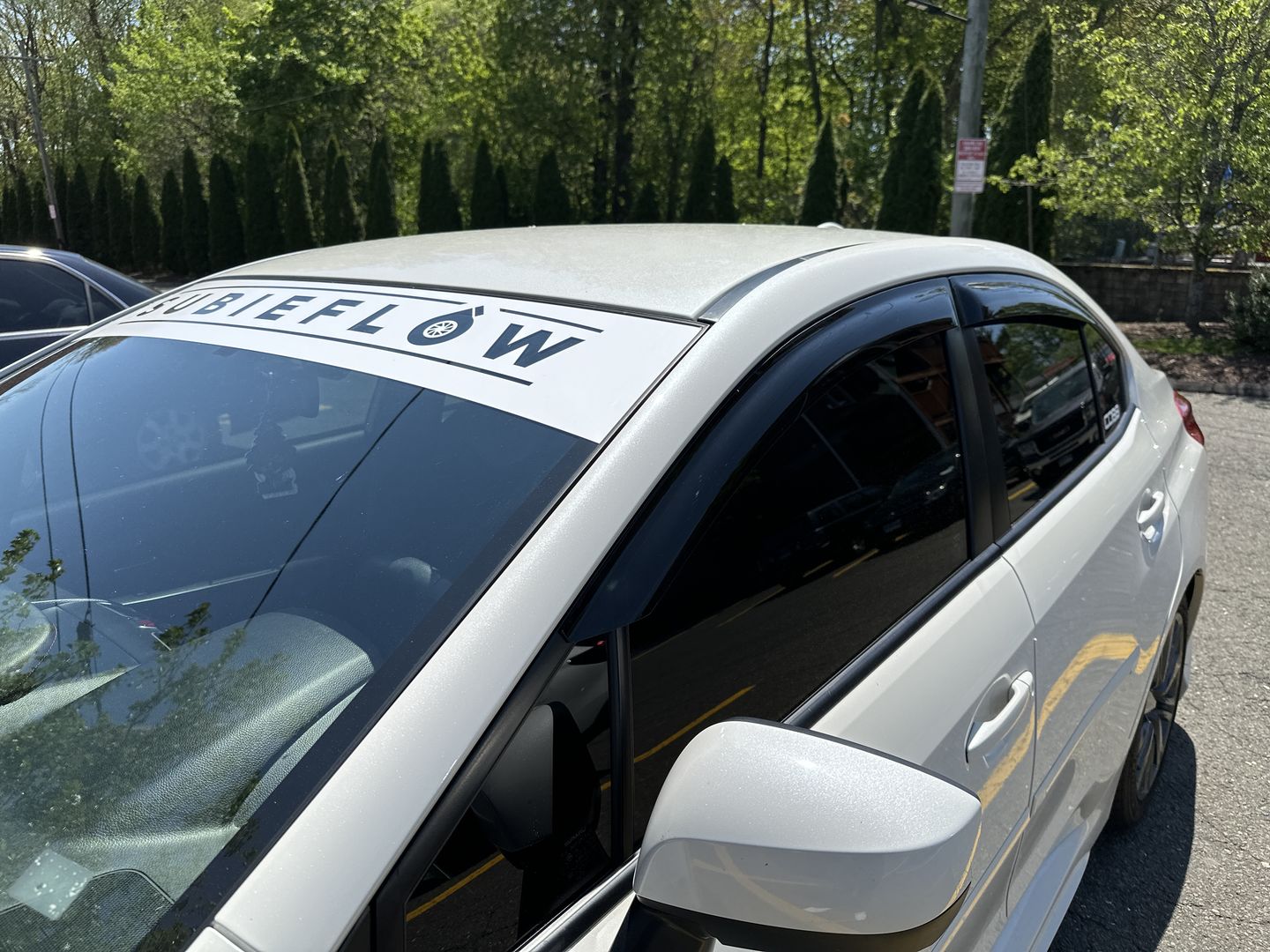 Customer photo review of Window Visors Sun/Rain Guards