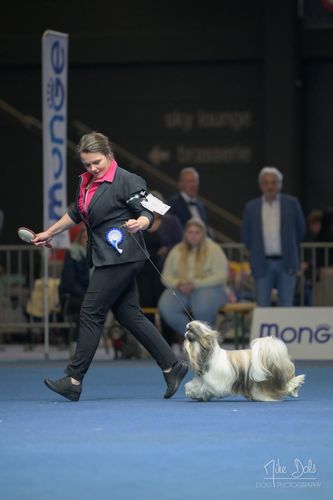 Customer photo review of I'm So Silky Leave-On Conditioner