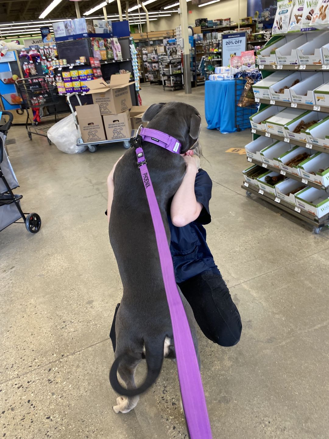 Customer photo review of 1.4m Swivel Combat Lead | Neoprene Lined, Secure Rated Clip with Soft Handle - Purple