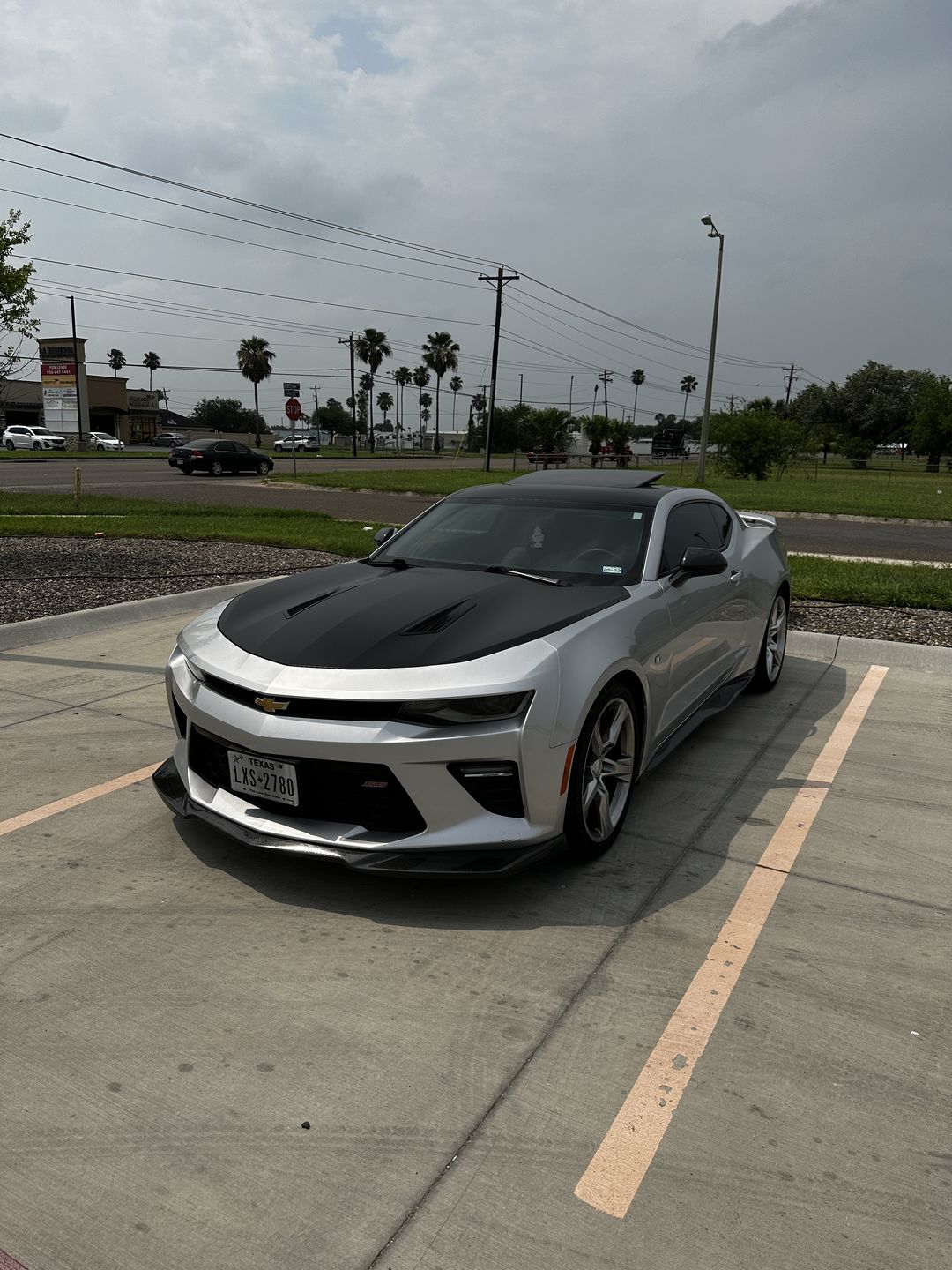 Customer photo review of 6th Gen Camaro ZL1 Conversion Side Skirts Rocker Panels